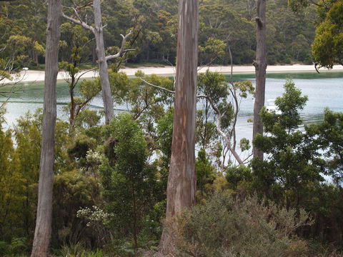 Stewarts Bay Lodge - Sydneys Hotel 23