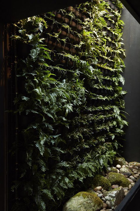 Moss Hotel - Sydneys Hotel 2