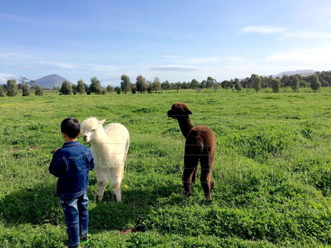 Taras Richmond Farmstay - Sydneys Hotel 0