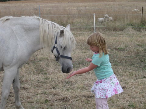 Taras Richmond Farmstay - Sydneys Hotel 19