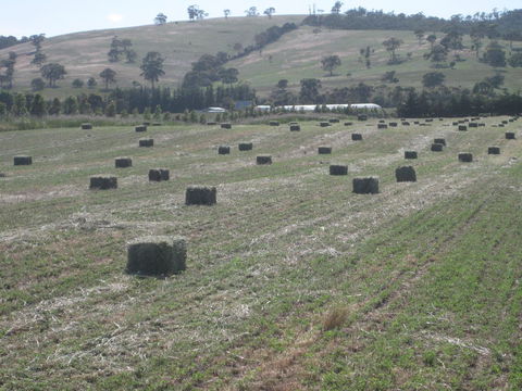 Taras Richmond Farmstay - Sydneys Hotel 18