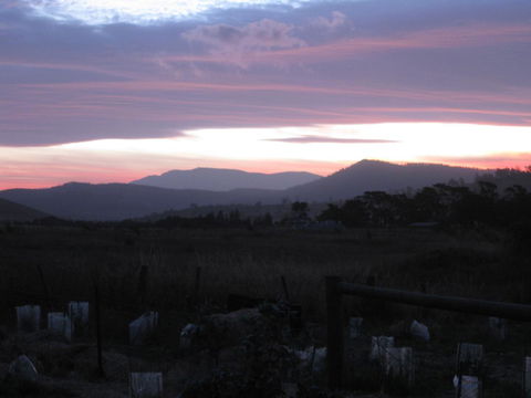 Taras Richmond Farmstay - Sydneys Hotel 22