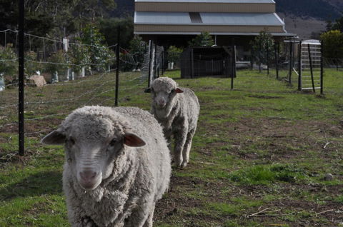 Taras Richmond Farmstay - Sydneys Hotel 14