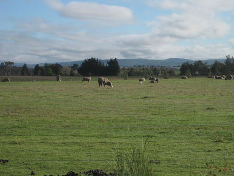 Taras Richmond Farmstay - Sydneys Hotel 13
