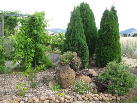 Taras Richmond Farmstay - Sydneys Hotel 23