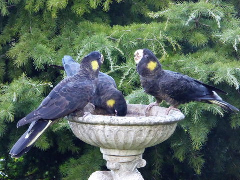 Tamar River Retreat - Sydneys Hotel 37