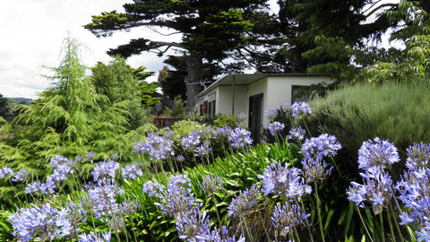 Tamar River Retreat - Sydneys Hotel 28