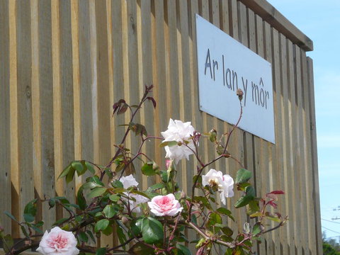 Ar Lan Y Mor - Sydneys Hotel 12