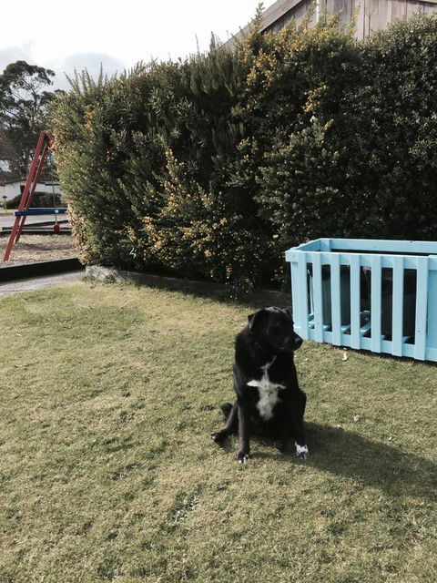 Strahan Beach Tourist Park - Sydneys Hotel 9