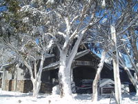 Book Dinner Plain Accommodation Vacations Sydneys Hotel Sydneys Hotel