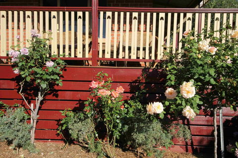 Oxford Rise Apartment - Sydneys Hotel 21