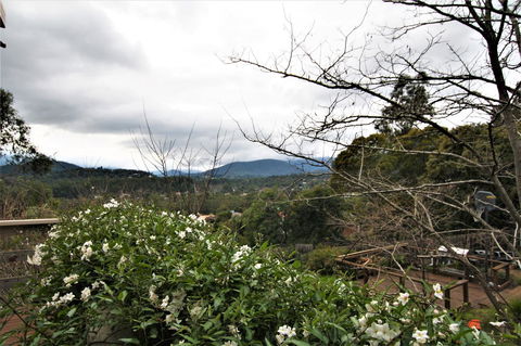 Hamptons In Healesville - Sydneys Hotel 13