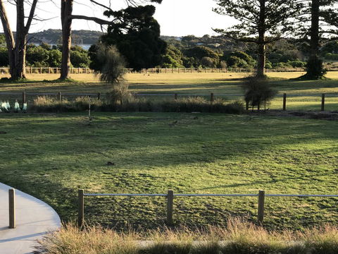 Bunya By The Sea - Sydneys Hotel 3