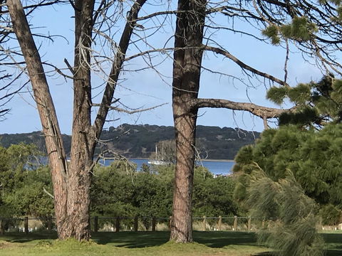 Bunya By The Sea - Sydneys Hotel 33