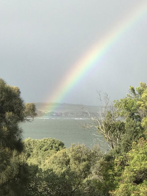 Bunya By The Sea - Sydneys Hotel 32