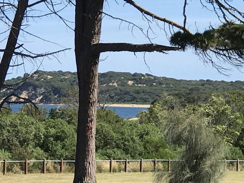Bunya By The Sea - Sydneys Hotel 6