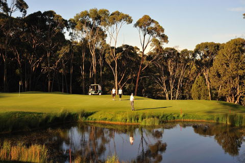 RACV Goldfields Resort - Sydneys Hotel 31