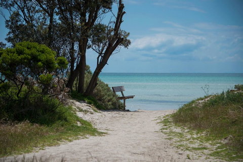 Jettycove Beach House - Sydneys Hotel 26