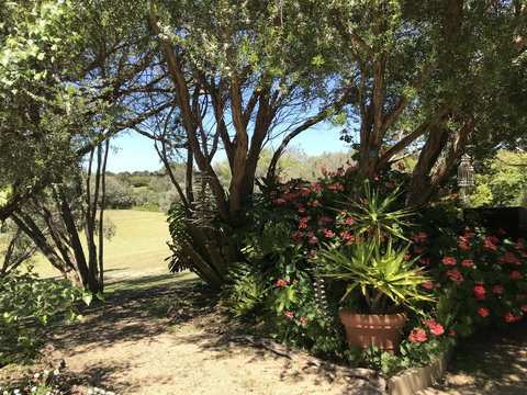 The Fingal Farm - Sydneys Hotel 9
