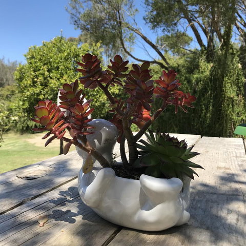 The Fingal Farm - Sydneys Hotel 30
