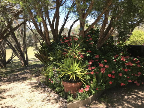 The Fingal Farm - Sydneys Hotel 33