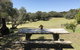 The Fingal Farm - thumb 21