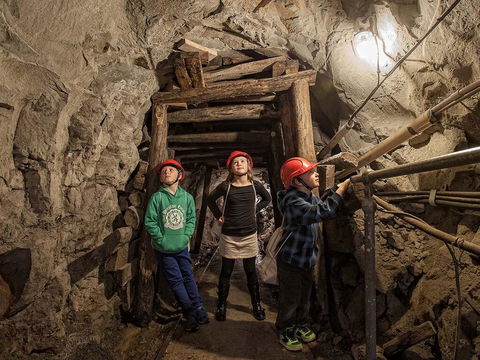 The Robin Hood Inn - Sydneys Hotel 2