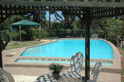 The Tree Motel - Sydneys Hotel 0