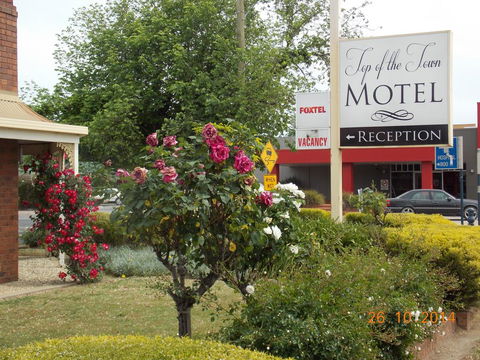 Top Of The Town Motel - Sydneys Hotel 3