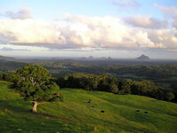 Book Maleny Accommodation Vacations Sydneys Hotel Sydneys Hotel