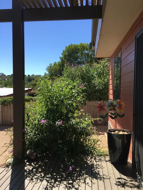 Daydream Cottage - Sydneys Hotel 10