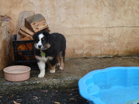 Bundjil Studio - Sydneys Hotel 15