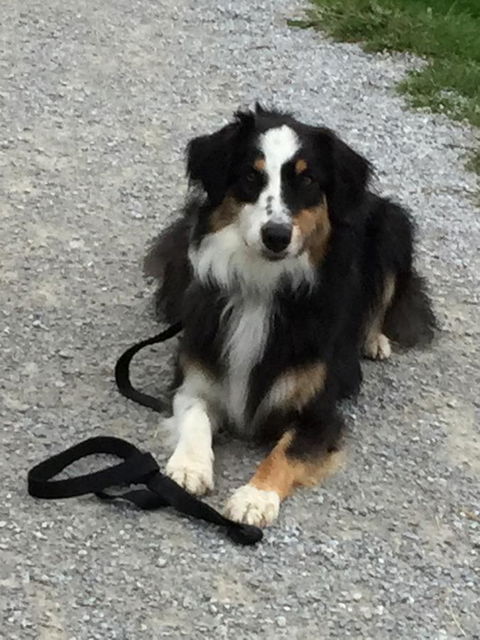 Bundjil Studio - Sydneys Hotel 14