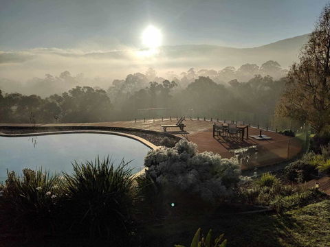 Kangaroo Manor - Sydneys Hotel 6
