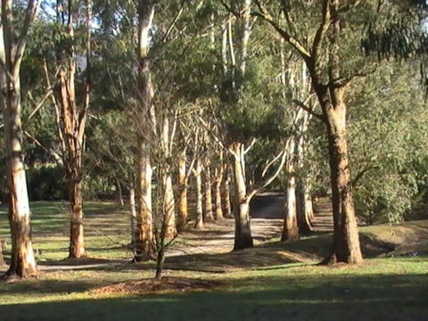 Kangaroo Manor - Sydneys Hotel 21
