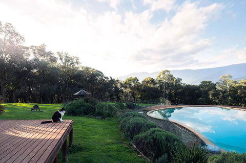 Kangaroo Manor - Sydneys Hotel 23