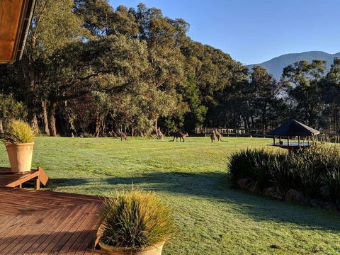 Kangaroo Manor - Sydneys Hotel 5