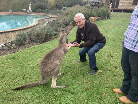 Kangaroo Manor - Sydneys Hotel 13