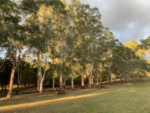 Kangaroo Manor - Sydneys Hotel 15