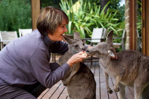 Kangaroo Manor - Sydneys Hotel 20