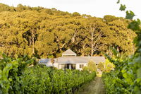 Book Red Hill Accommodation Vacations Sydneys Hotel Sydneys Hotel