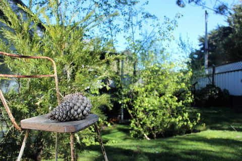 Cottage 4A - Sydneys Hotel 13