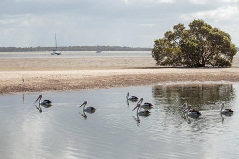 BIG4 Breeze Holiday Parks - Rainbow Beach - Sydneys Hotel 32