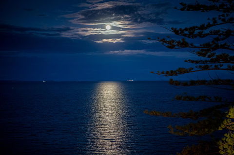 The Sebel Brisbane Margate Beach - Sydneys Hotel 10