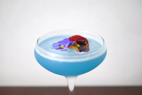 The Sebel Brisbane Margate Beach - Sydneys Hotel 18