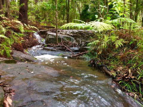 Noosa Hinterland Retreat - Sydneys Hotel 12