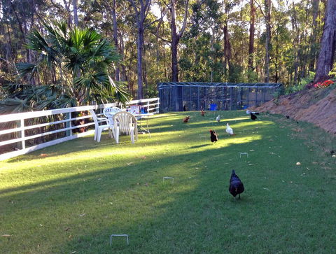 Noosa Hinterland Retreat - Sydneys Hotel 11