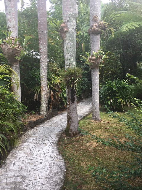 Eco Village Mission Beach - Sydneys Hotel 6