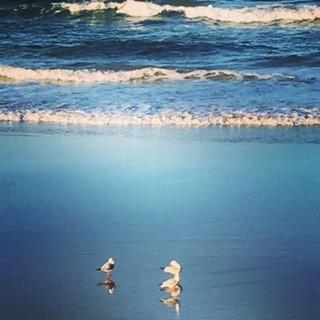 Oceania On Burleigh Beach - Sydneys Hotel 40