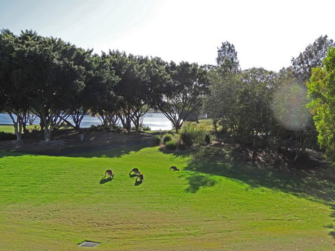 Waterfront Resort Villa With Buggy - Sydneys Hotel 32